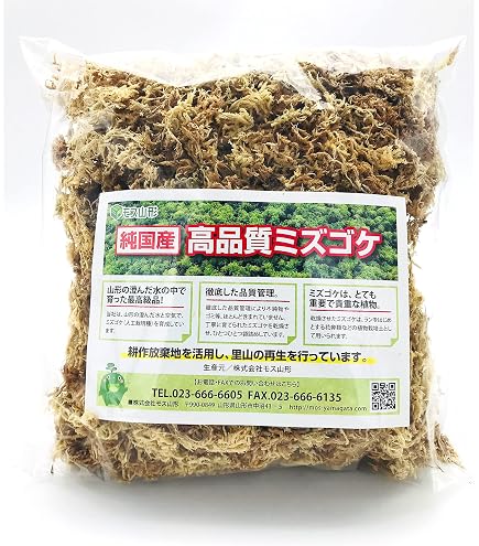 Amazon｜国産生水苔ナマミズゴケ｜観葉植物 オンライン通販
